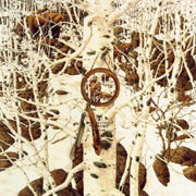 Bev Doolittle Complete Art Collection